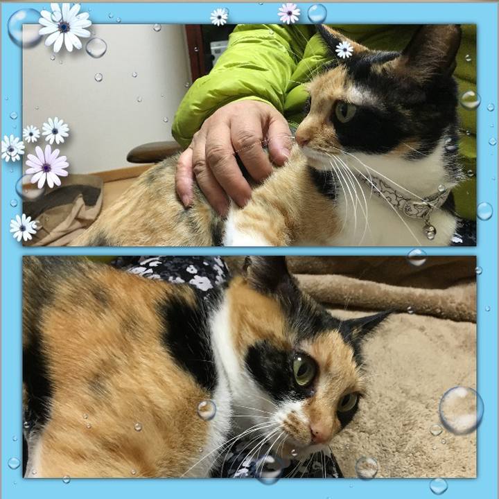 81a6cd60 9fe9 4324 993c 0bf021c30985