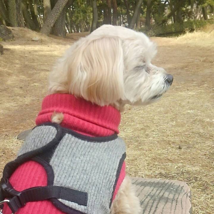 81a6d4ca a49d 4598 bf7c ce2fc3ed9e6e