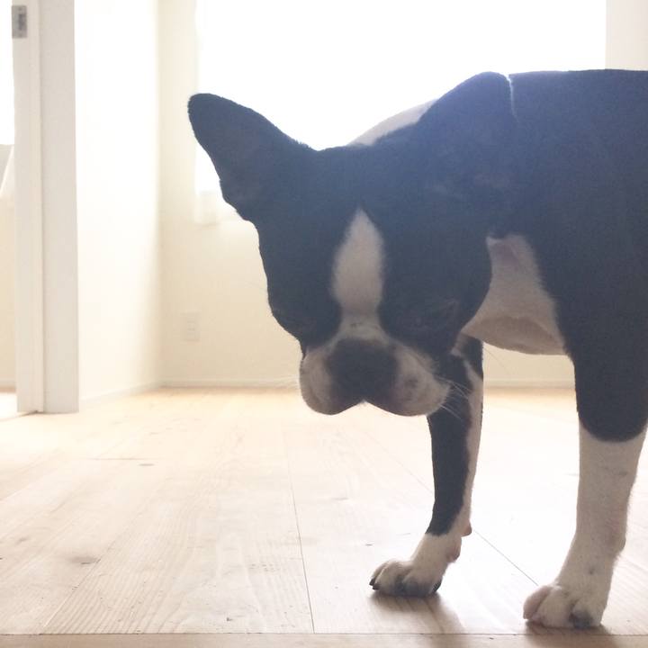 81a6fc96 8577 4568 83bd 62e2b67a1ab2