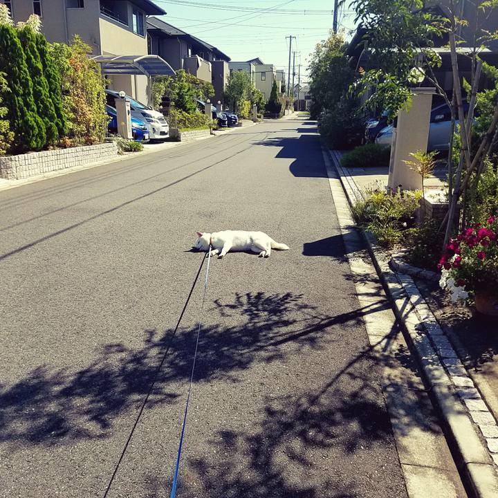 81a753a0 708f 4f49 89af 6941639e6e8b