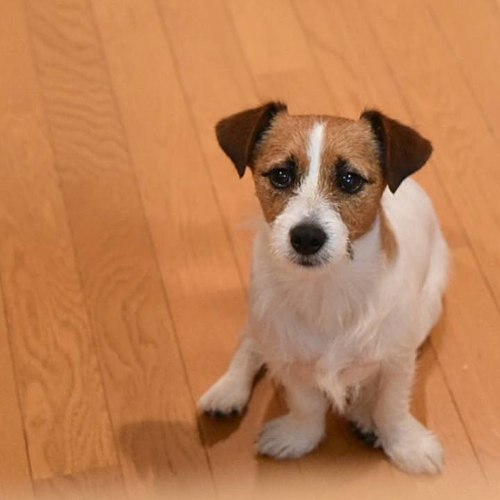 81a78d66 6fa7 4397 b5d6 147e0a266f18