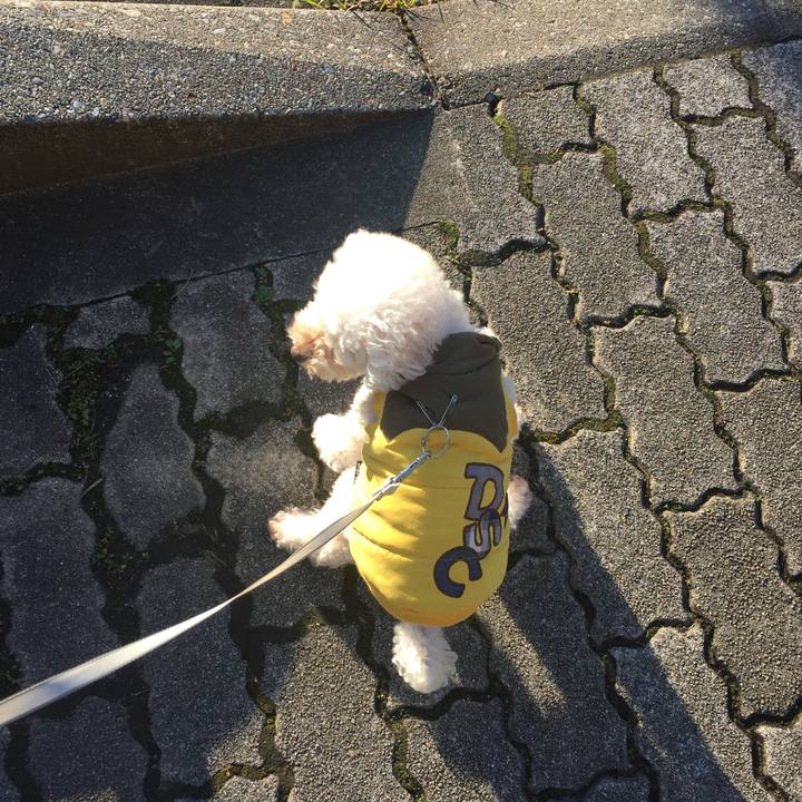 81a7d9bd 6d45 42e9 ab91 020006682018