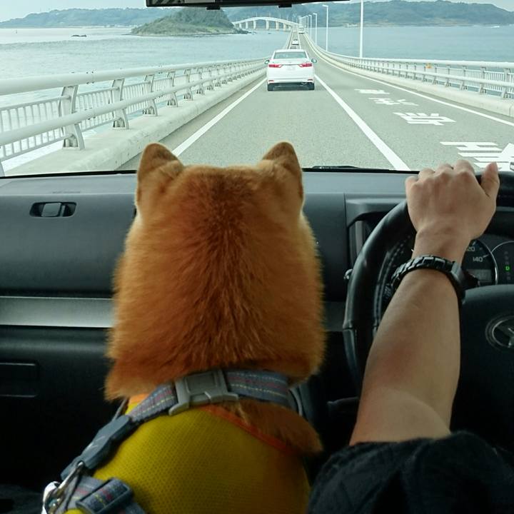 81a8ac0a 0881 4a3b a2a8 ef6711e9b5f2