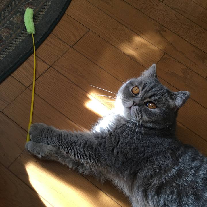 81a8b27b c905 48dd 804b 473352d8f5fb