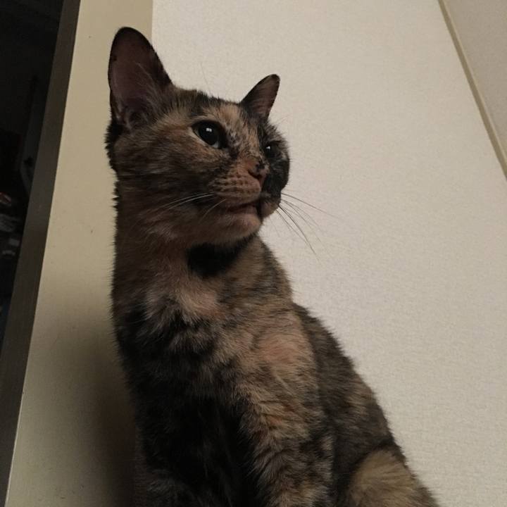 81a8eb7e 262e 4bbe b429 88eaaae8a841