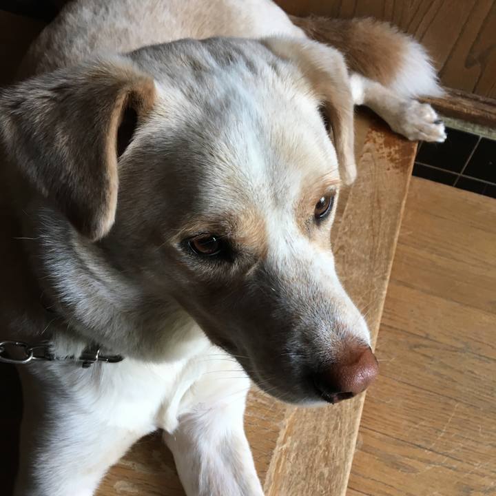 81a9c662 3700 4cbd be42 c41f59d08a88