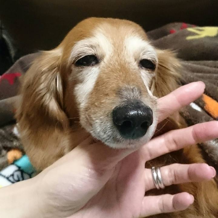 81aa05cd 7b6f 48ad af33 7bbce0ff0558