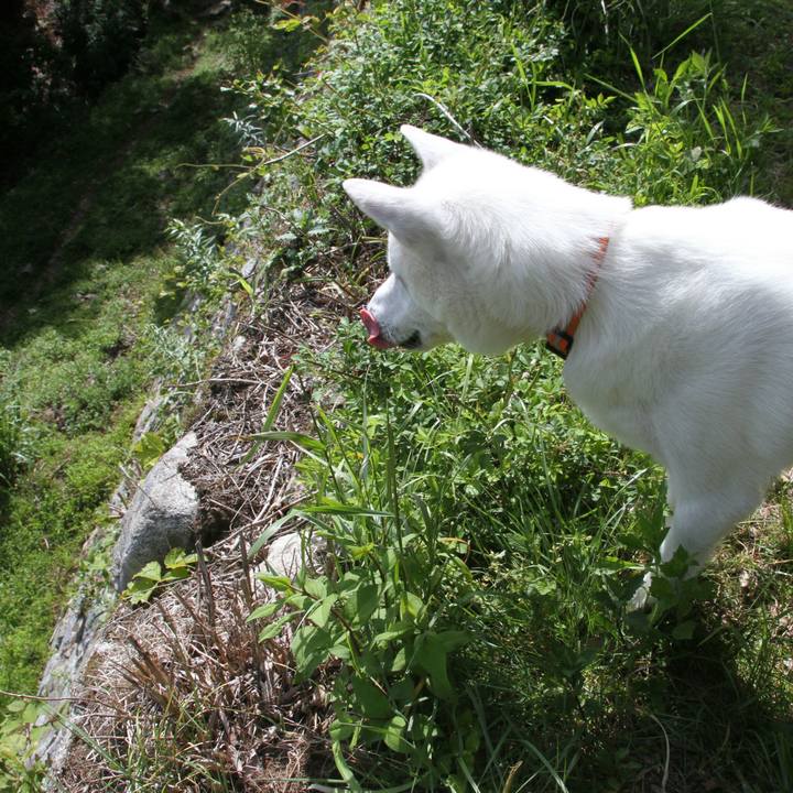 81ab7c69 8f0d 4974 9fdf c88fa548b53a