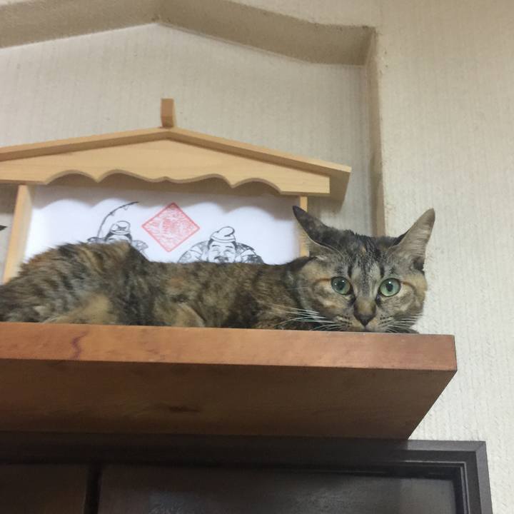 81aba08c abdd 4ffa a4db 36ad16792fca