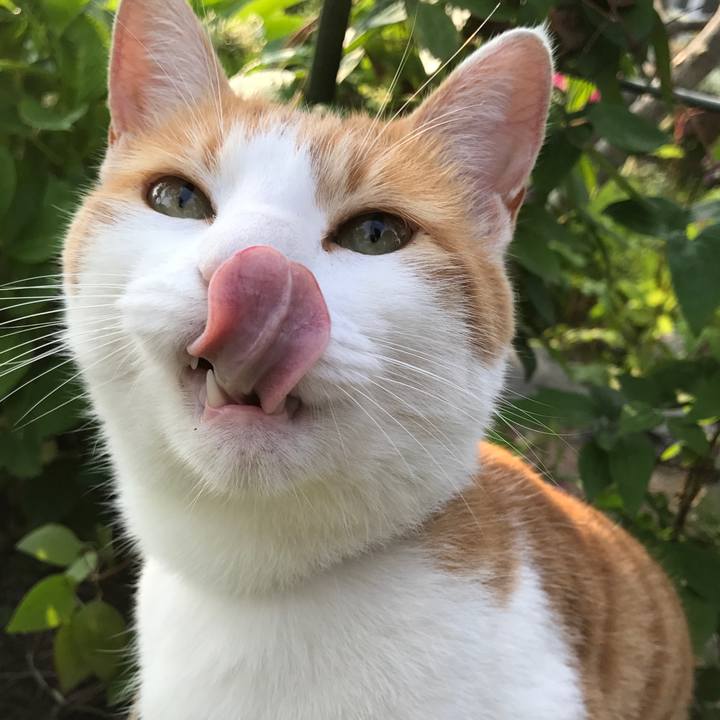 81ac7799 c4e2 472a a413 1bb357895c86