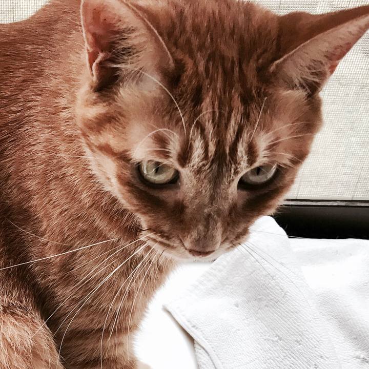 81ac8b33 059e 4f16 8de9 8962953da943