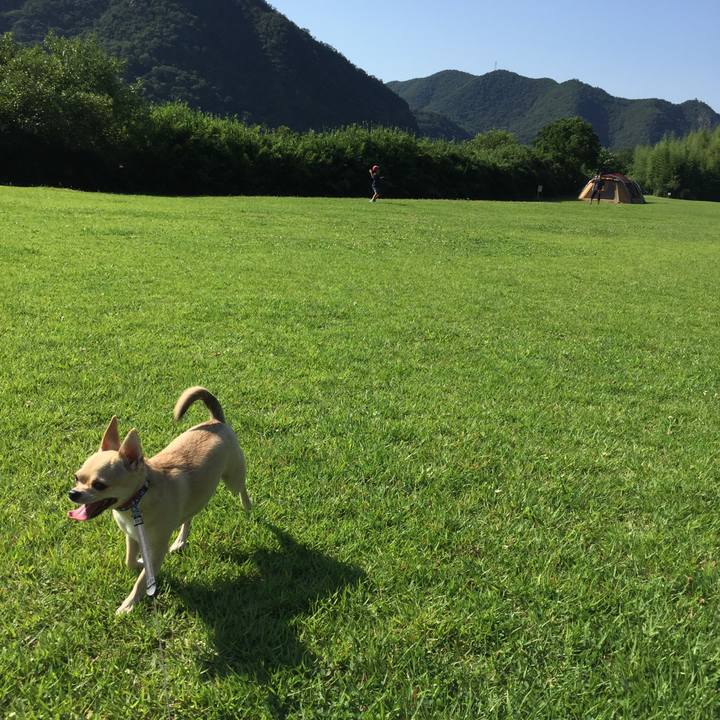 81aceab0 8801 4d2c a299 183d6d963f77