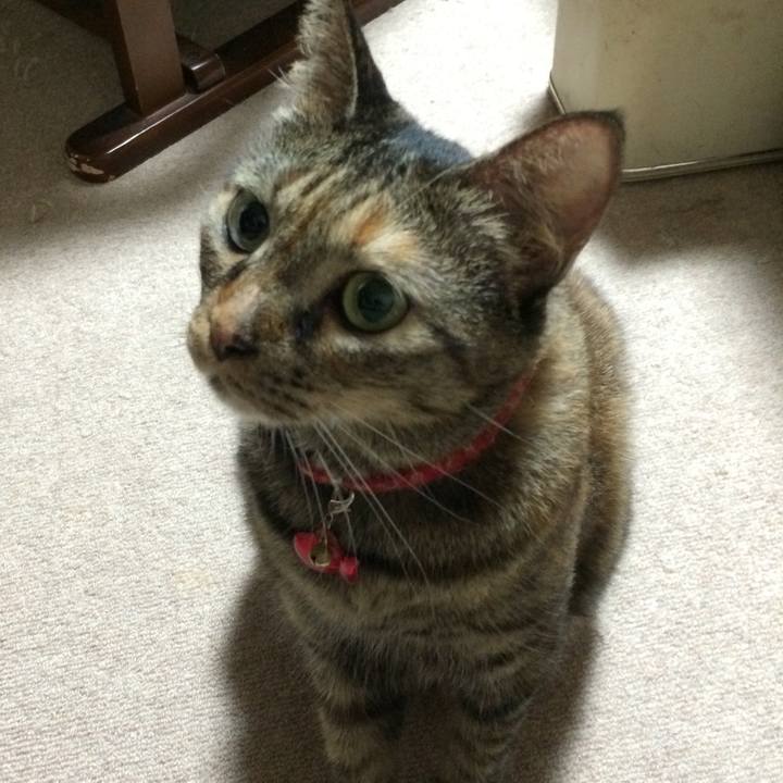 81ad417e cd27 463c a7c0 64252ba06929