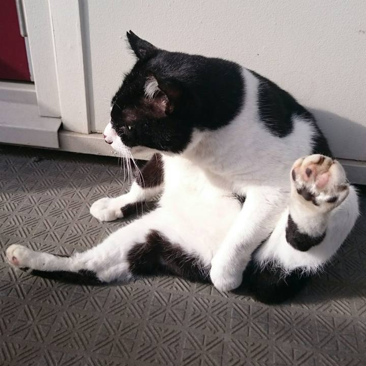 81ad721e 9405 4c29 807c c4013318a390