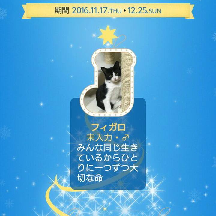 81ad7ea1 5eec 4edd 9abe 9edf0e5ad3ab