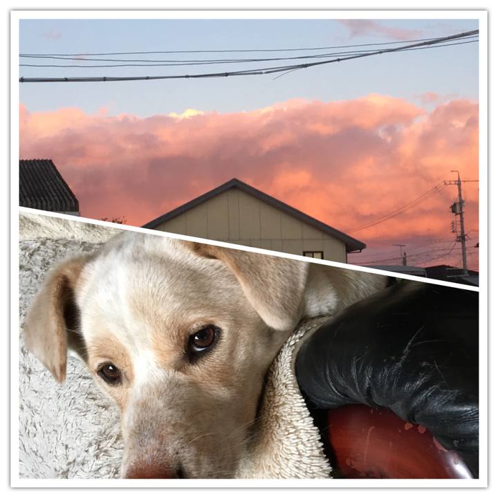 81ad9007 ddd6 42c5 8f27 a29a7f88c13b