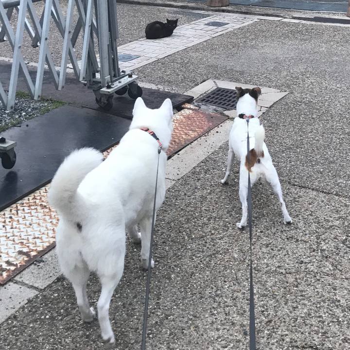 81adfd9d 6298 4a64 8b56 4a38a5ecf990