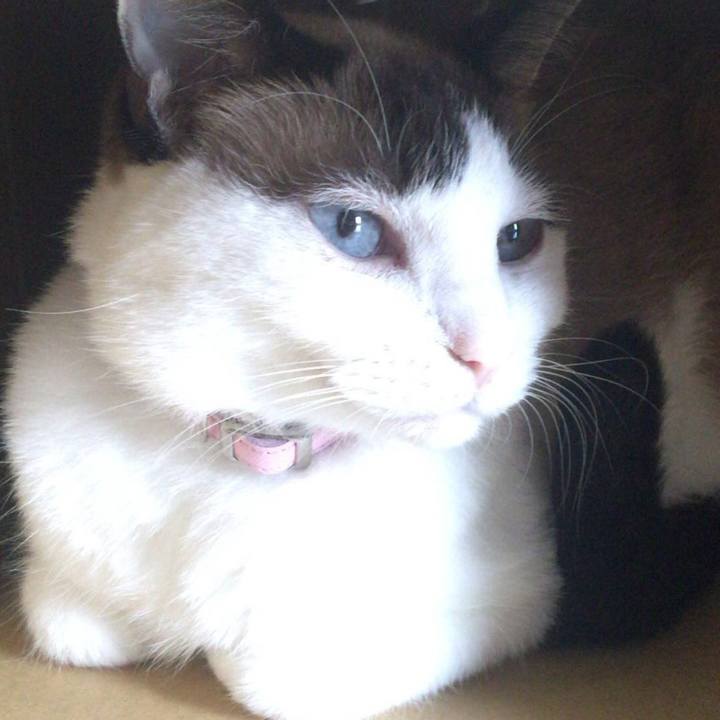 81af8682 52a8 419e 9548 77b24946892f