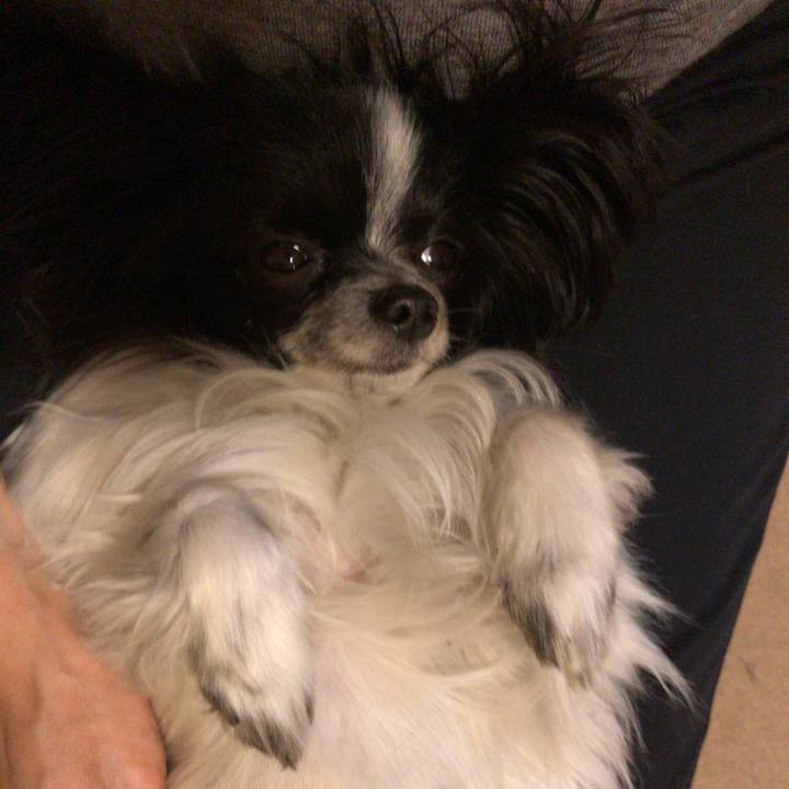 81b02c6a 5f42 4e27 bef7 f95ecb68e763