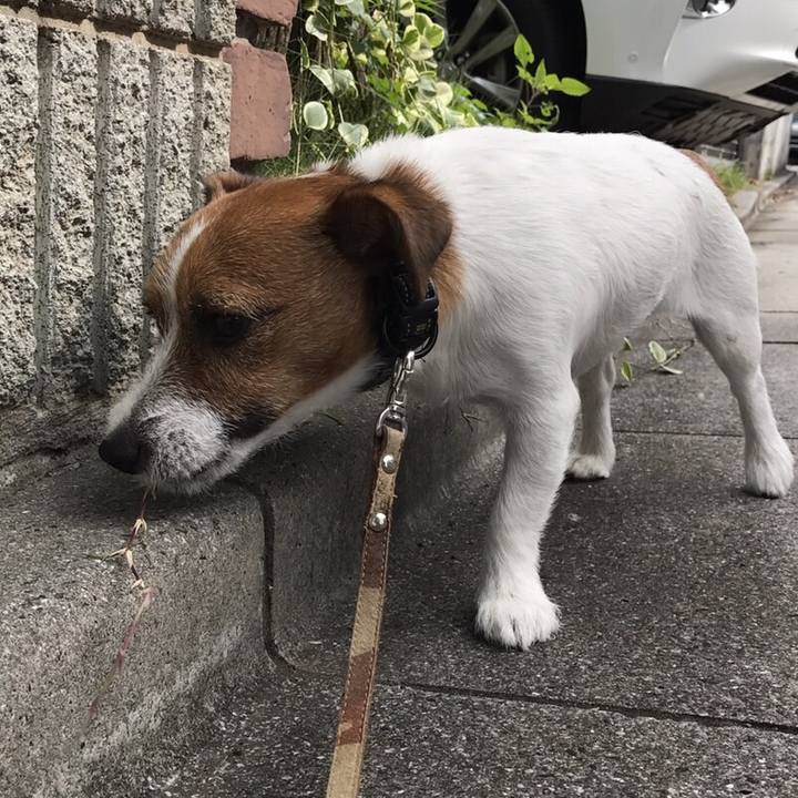 81b06e5c d332 4b93 87a3 9bc2f1496d4b