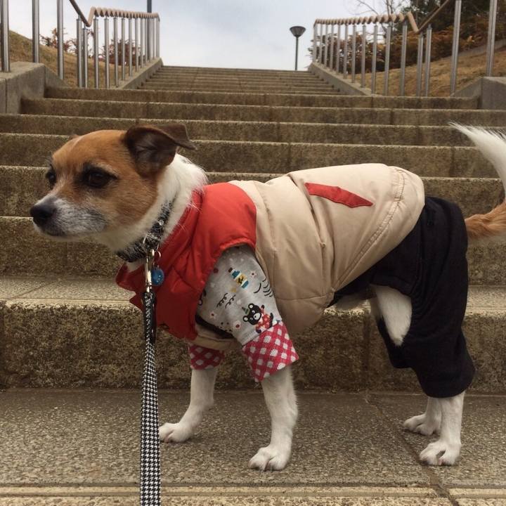 81b073df 394f 4867 a69a 5b4318d0e658