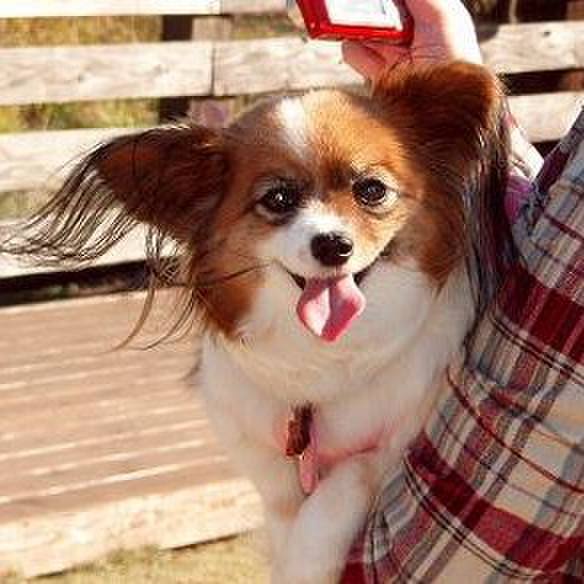 81b10c5d d127 4894 8c17 cebdb6a03099