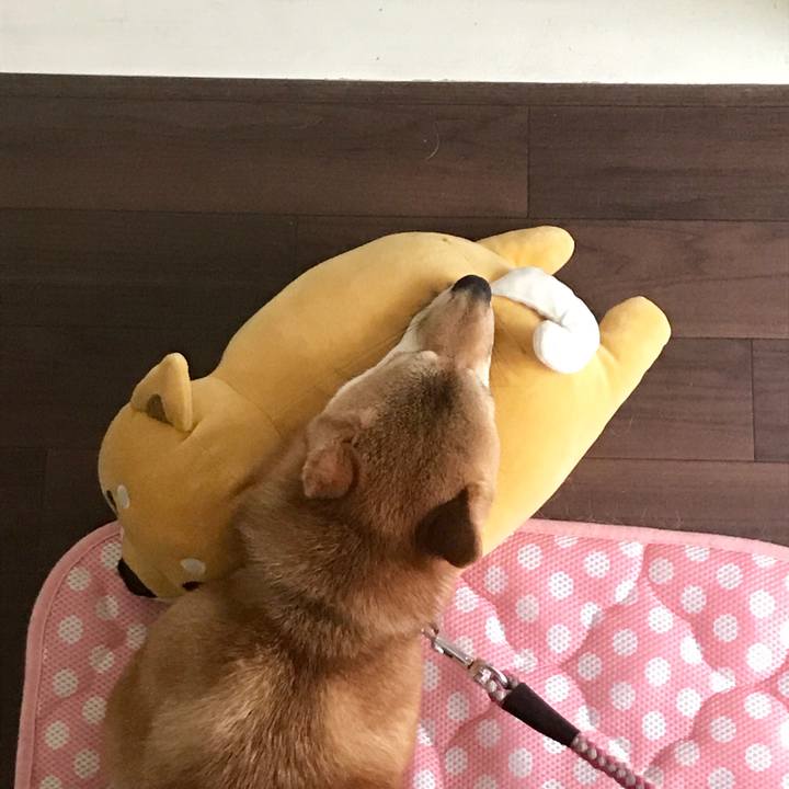 81b1af97 335f 4d5a 86e5 b5705c93e0e0