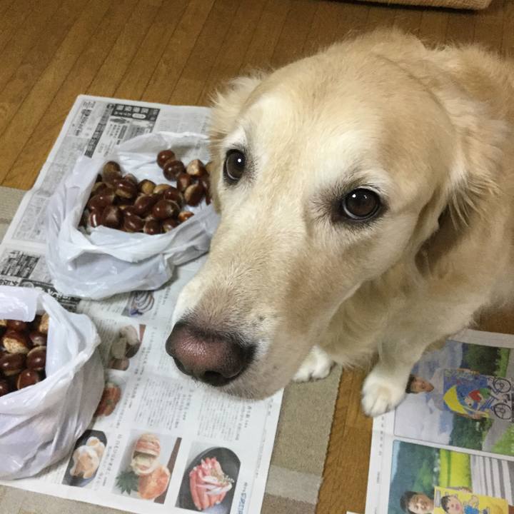 81b2745b e72d 4a60 942d f96160e84da3