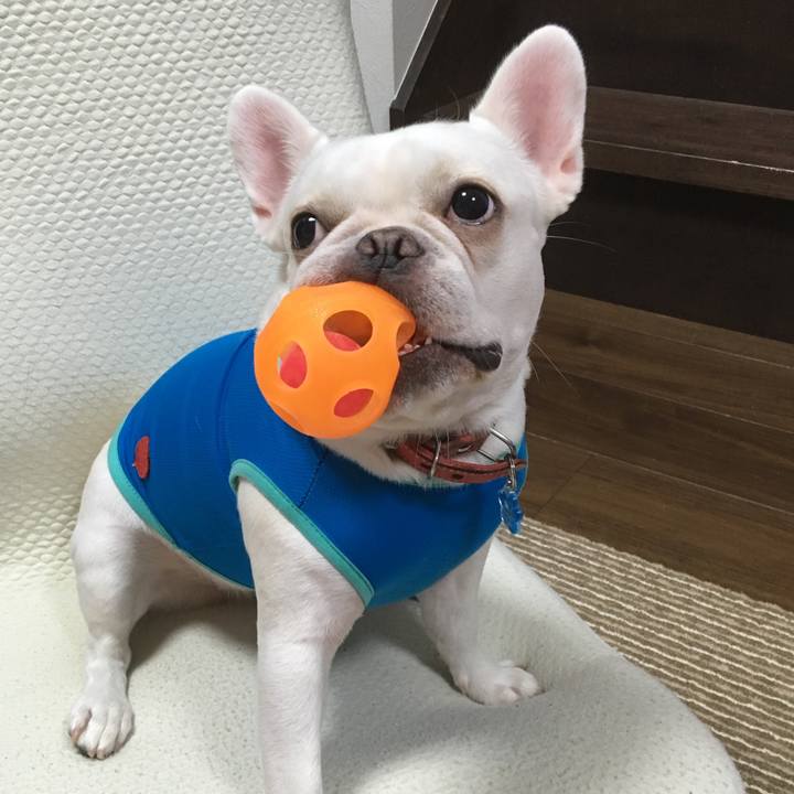 81b2be78 d230 44c5 a3c3 8e181a80496b