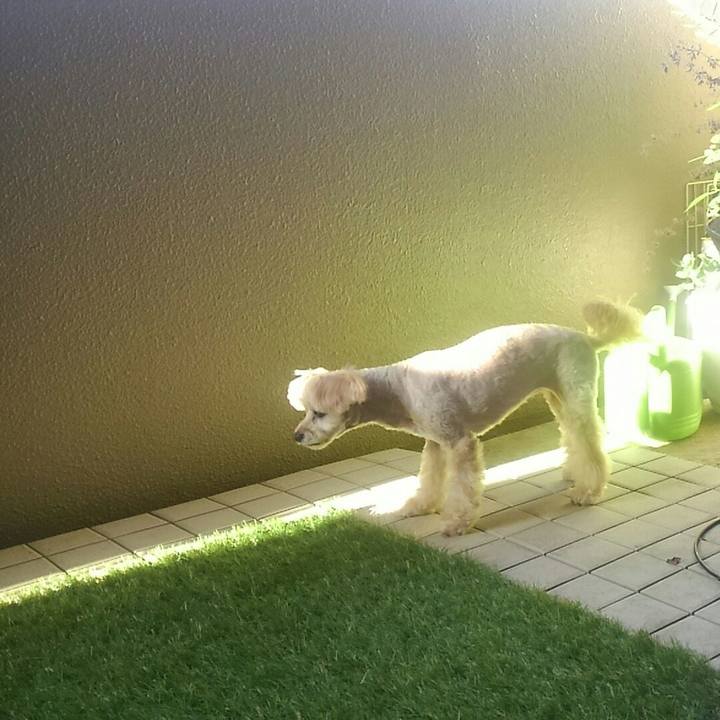 81b2dea6 fd00 412d ab38 b147a9f318aa