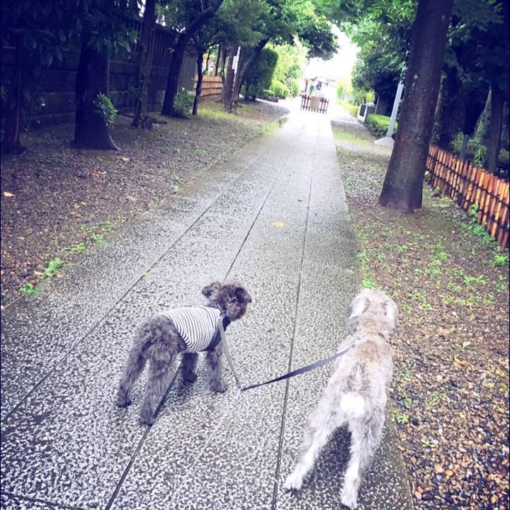 81b57118 8337 46c6 be36 f5650fe4f71d