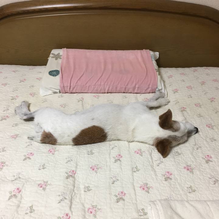 81b681cc ee14 4a0c 9675 041c43d342b0