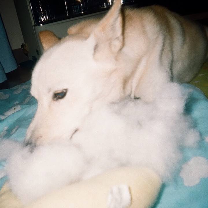 81b6ee29 6b06 4958 8af4 35597aaf32c9