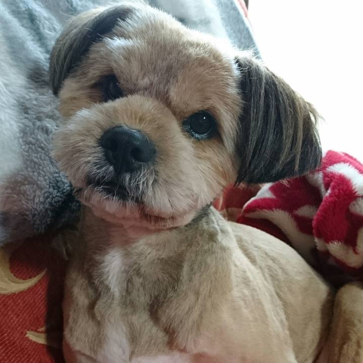 81b701f6 119d 48c4 9719 13b86f23e7ea