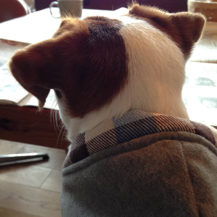 81b749bf df9c 475b a153 9e07b4ff1cbb