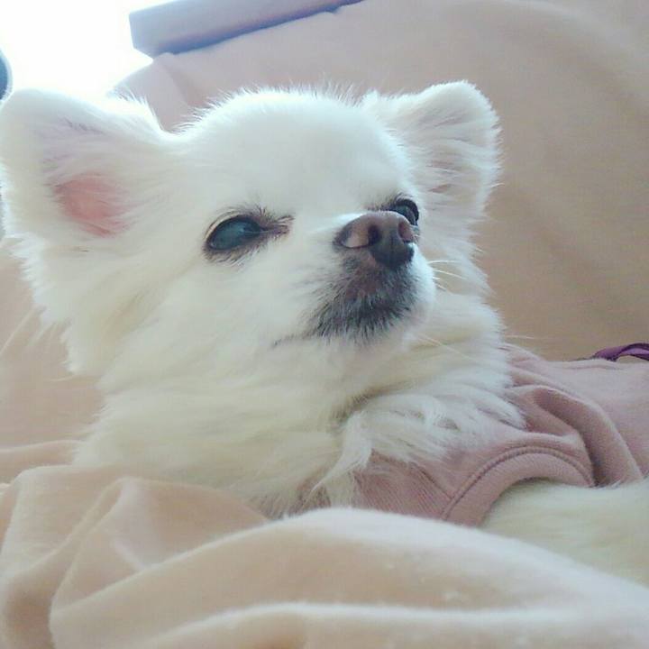 81b95709 ee06 46d8 a9dd c6ebc6b09289