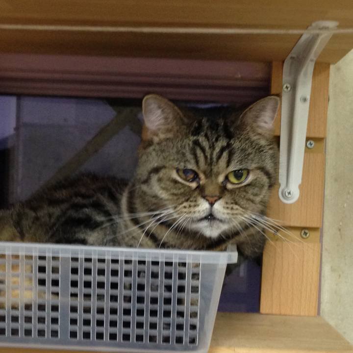 81b9926e b686 49b1 9d54 3e243b8223b7