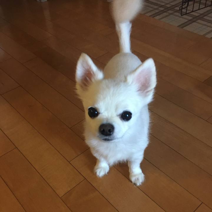 81b9a621 3692 46d3 b086 aebe2c1a6916