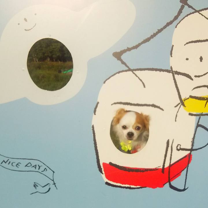 81b9bbbb d6d9 40dd 8c2e 160f53fe47ee