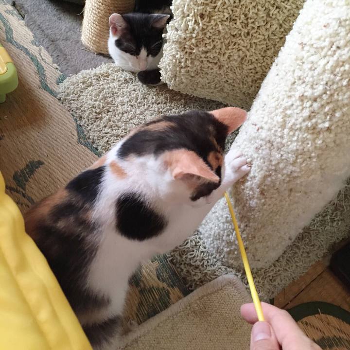 81ba1fbb f516 4adf ad0e 884bd095053f