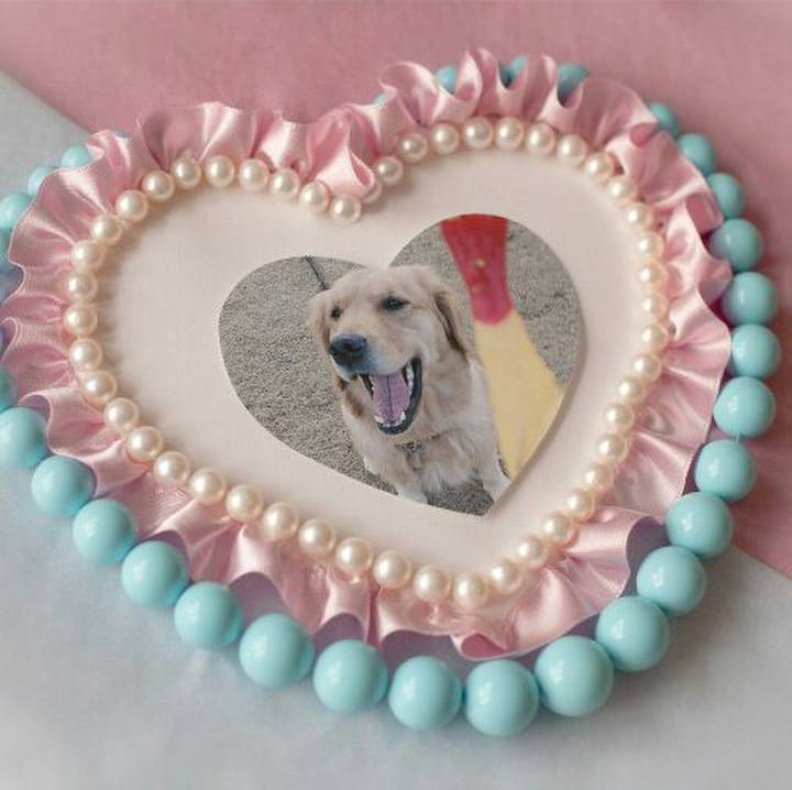 81ba445c b848 4765 a2b0 7591e523a60b