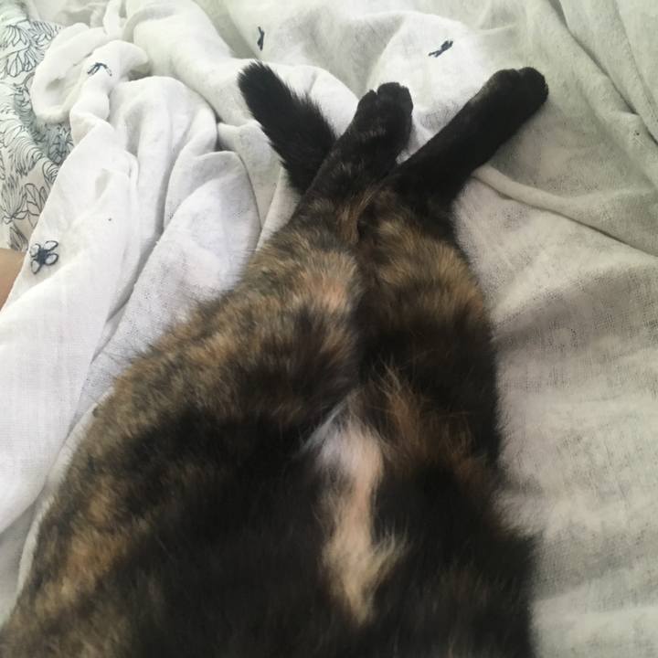 81bae511 af2a 42f9 9c8e 8ff286b08b1d