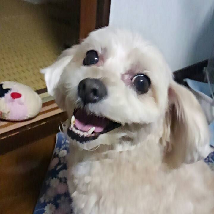 81baf30f be2a 410b 967b 03268cbb5308