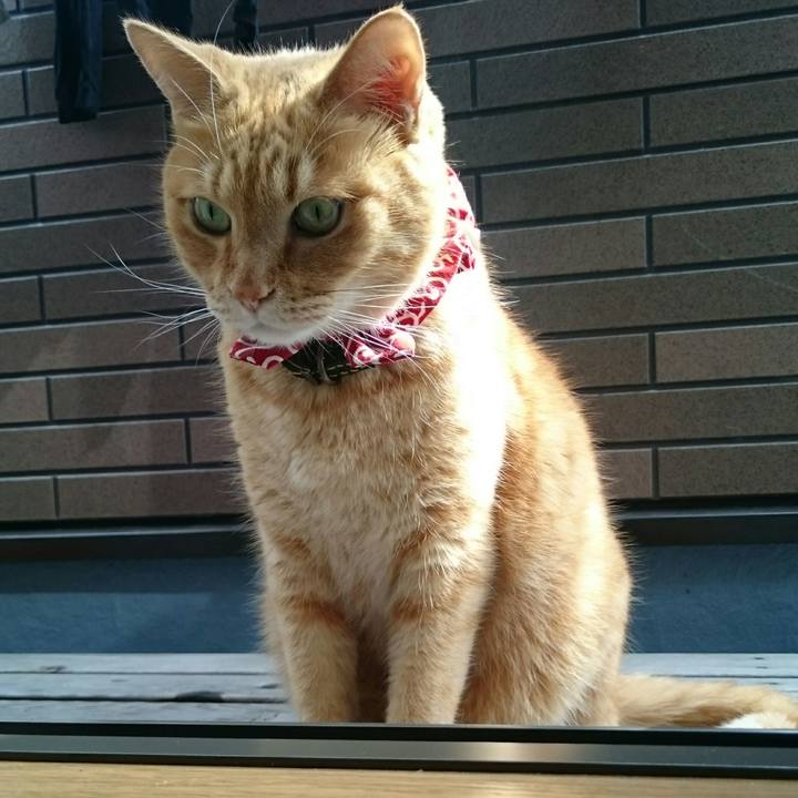 81bb5ccf b955 4229 887b 62ebf8acdd48