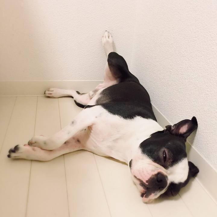 81bb9d38 5d02 4258 97e8 053799cd5189