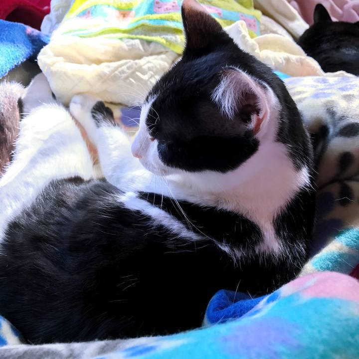 81bbcbe9 26f4 41f8 80b0 fae9ada8ad89