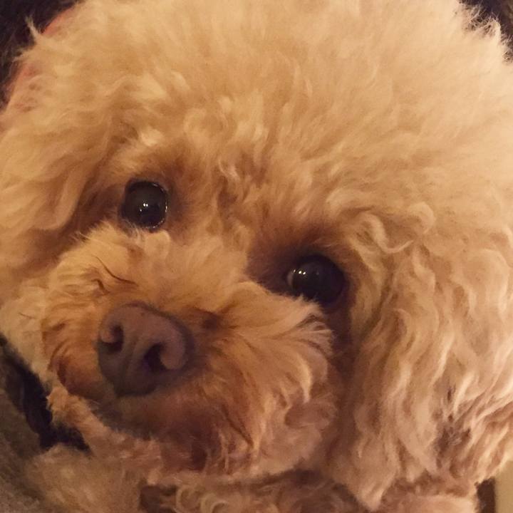 81bbf189 4ee0 4a53 ba01 fd3a971f722a