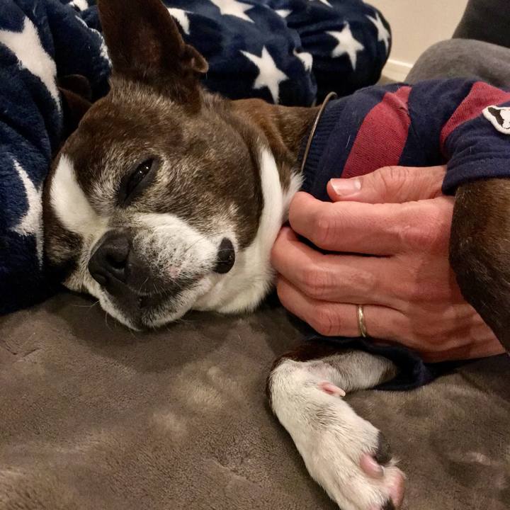 81bc6388 31d2 4c35 8cff 44adc4558250