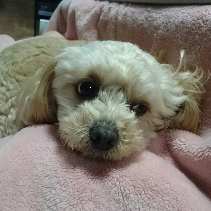 81bcec48 88fe 4d8d ae53 6a9e1e4d74fd