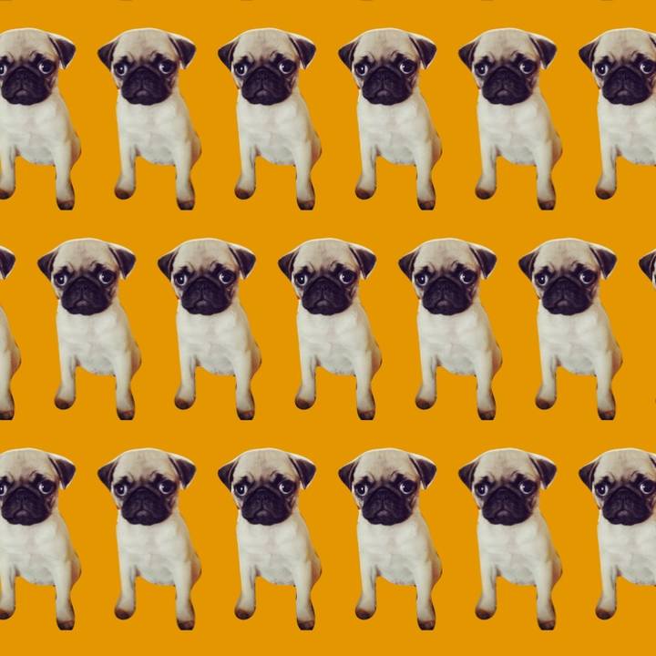 81bd41f1 ace1 418b b2d4 e59211b6727f